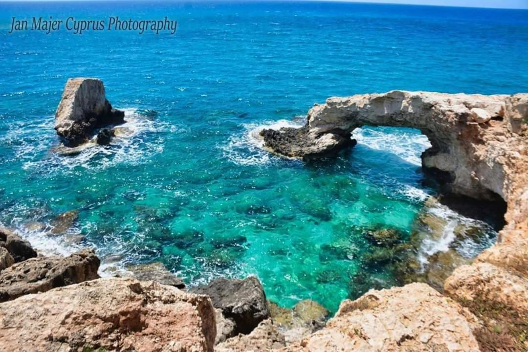 Nissi 3 Pool Access Garden Apartment أيا نابا المظهر الخارجي الصورة
